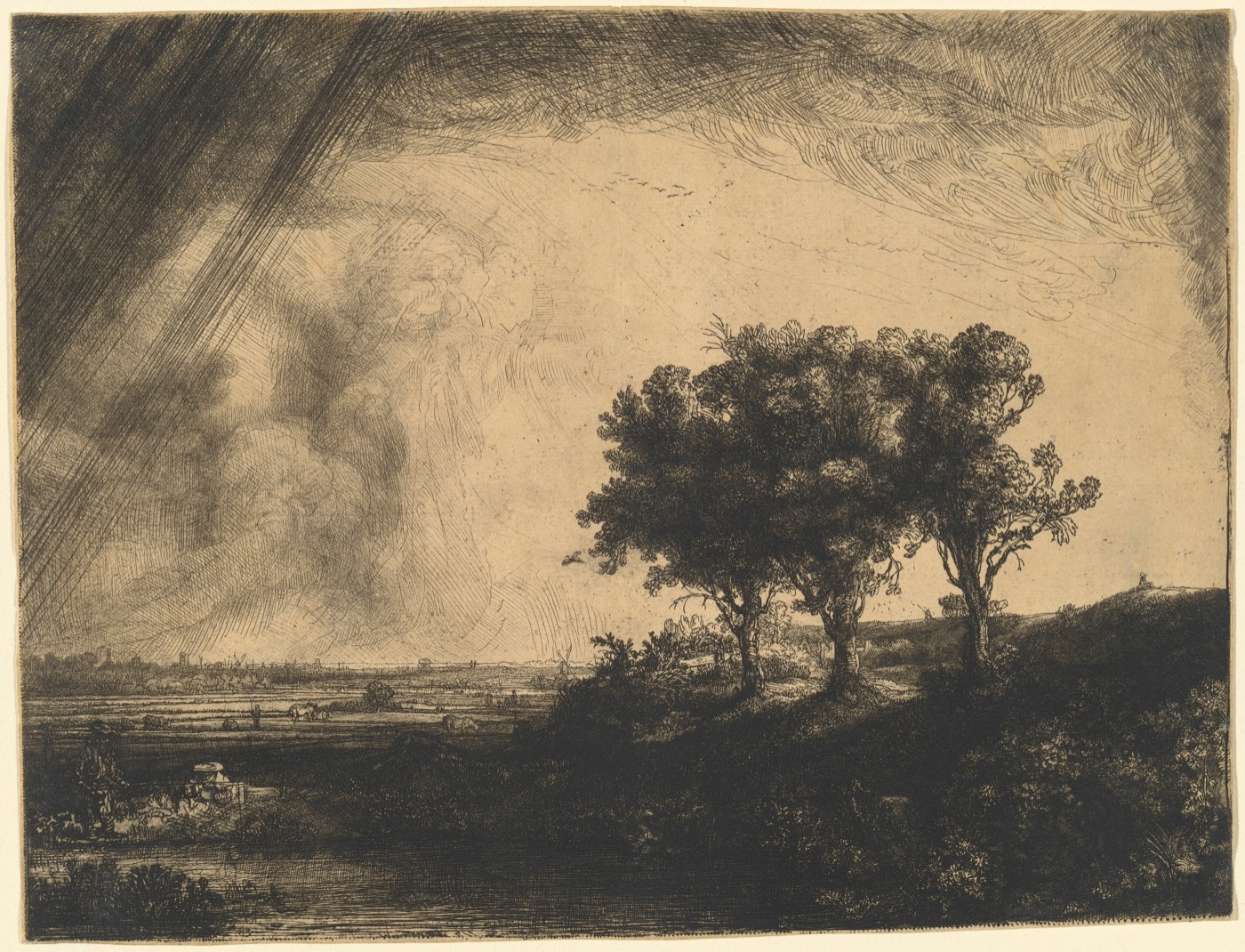 A vintage engraving of a tree.