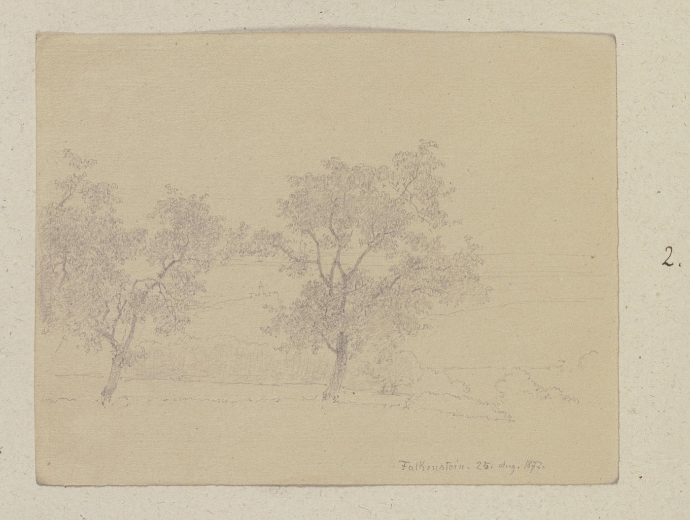 A vintage engraving of a tree.