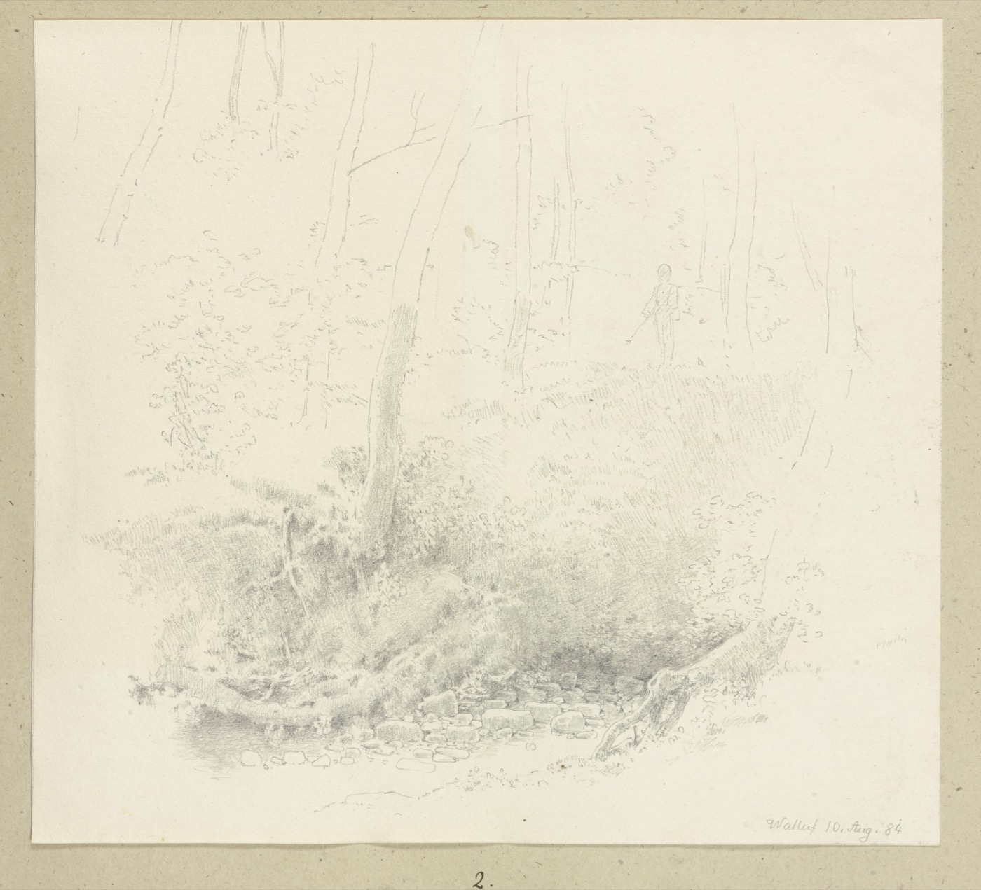 A vintage engraving of a tree.