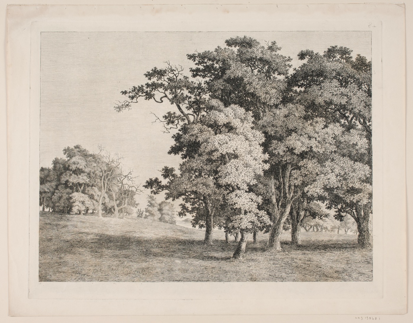 A vintage engraving of a tree.